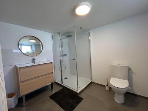 uma casa de banho com um chuveiro, um WC e um espelho. em Appartement Vannes avec jardin em Saint-Avé