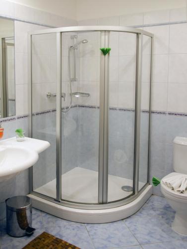 a shower with a glass door in a bathroom at Penzion Hacienda Ranchero in Pardubice