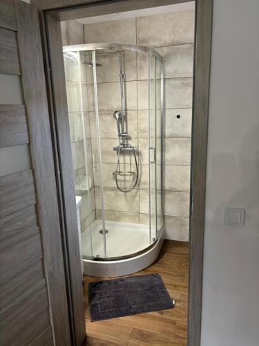 a shower with a glass door in a bathroom at U Hrabiego in Krzeszowice