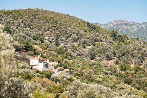 a house on the side of a mountain at Villa Vicky in Pythagoreio