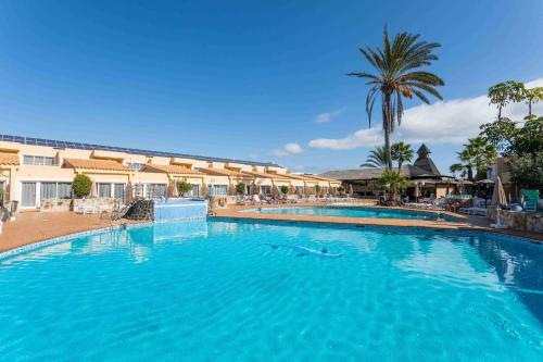 a large swimming pool in a resort with a palm tree at Hotel Arena Suite in Corralejo