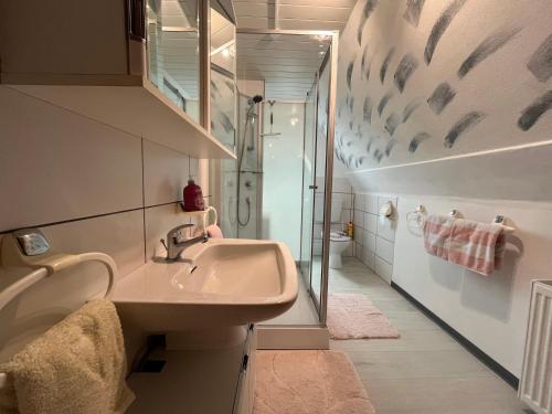 uma casa de banho com um lavatório e um chuveiro em Vergissmeinnicht em Braunlage