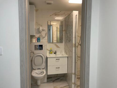 a bathroom with a toilet and a sink and a mirror at apartmantt in Cheb