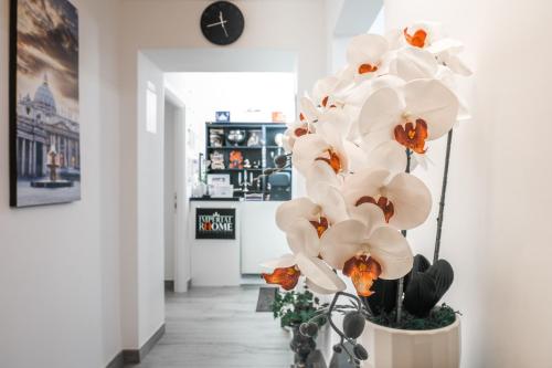 a vase filled with white flowers in a room at Imperial Rhome Guest House in Rome