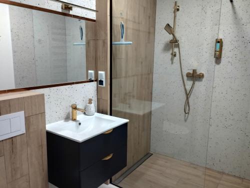 La salle de bains est pourvue d'un lavabo et d'une douche. dans l'établissement Apartamenty Centrum, à Janów Lubelski
