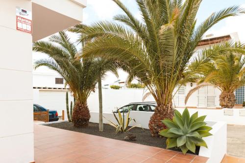 a group of palm trees in front of a building at Villa Fariones in Tías