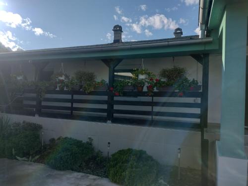 einen Balkon mit Topfpflanzen auf einem Haus in der Unterkunft Acke Kum 3 in Žitorađa