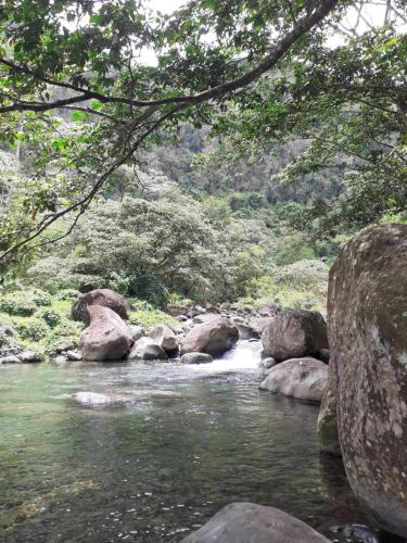 a stream of water with rocks and trees at Gites Kas'a Flo in Trois-Rivières