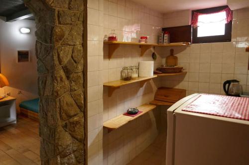 eine Küche mit einem Kühlschrank und Regalen an der Wand in der Unterkunft Planinska kuća Savić, Kopaonik in Kopaonik