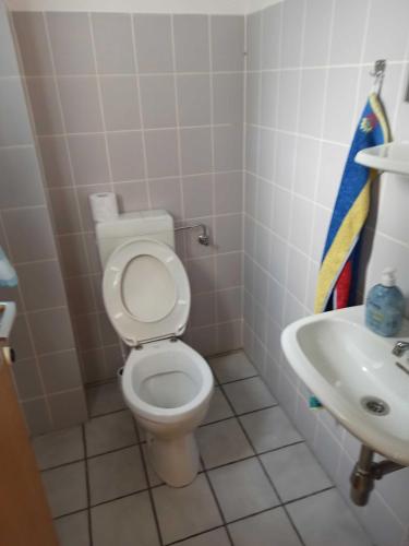 a bathroom with a toilet and a sink at Ferienhaus Friesenrose 45237 in Ditzum