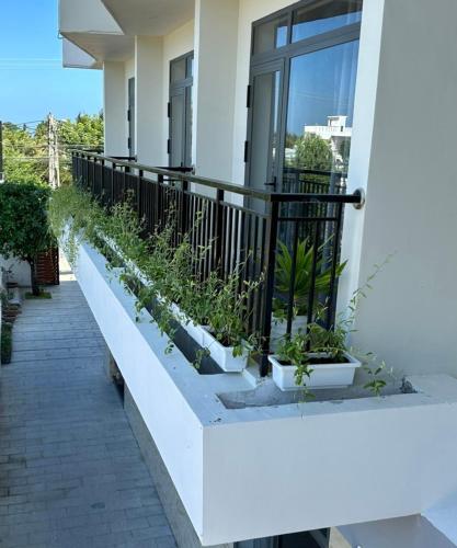 a balcony of a house with plants on it at Khách sạn AN THỊNH 2 in Doc Let