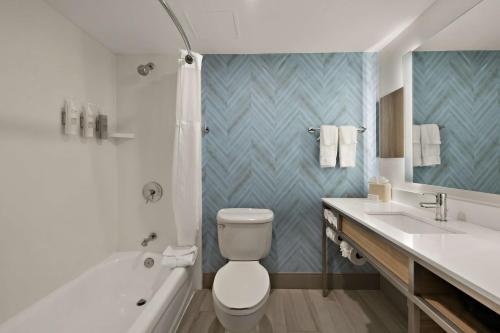ein Badezimmer mit einem WC, einer Badewanne und einem Waschbecken in der Unterkunft Hilton Garden Inn Williamsburg in Williamsburg