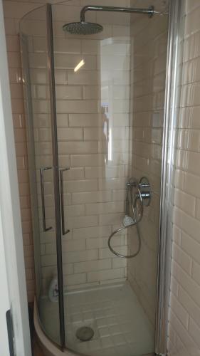y baño con ducha y puerta de cristal. en Bell orizzonte en Locarno