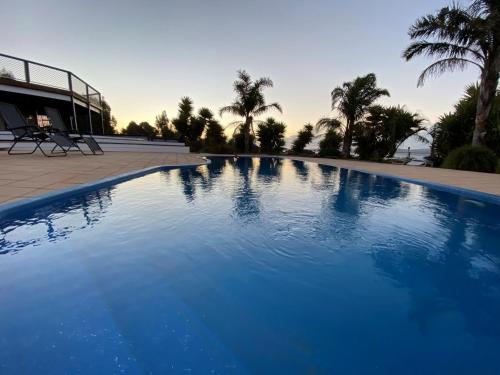 a large blue swimming pool with palm trees in the background at Doyles on the Bay in Kingscote