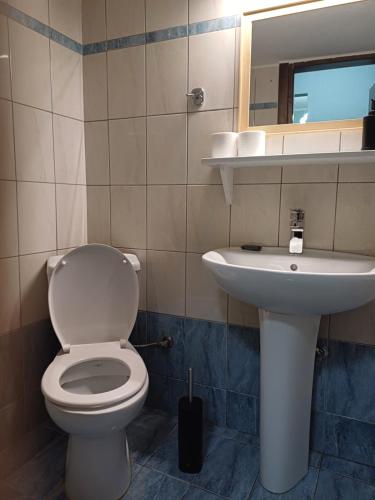 VATA apartaments tesisinde bir banyo