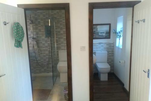 uma casa de banho com 2 WC e um chuveiro em The Little House in Hull em Hull