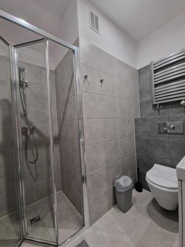 a bathroom with a shower and a toilet at Willa Lawenda Apartament 6 in Rytro