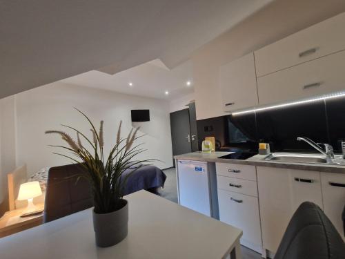 une cuisine avec des armoires blanches et une plante en pot dans l'établissement Przytulny Apartamencik- Willa Lawenda, à Rytro