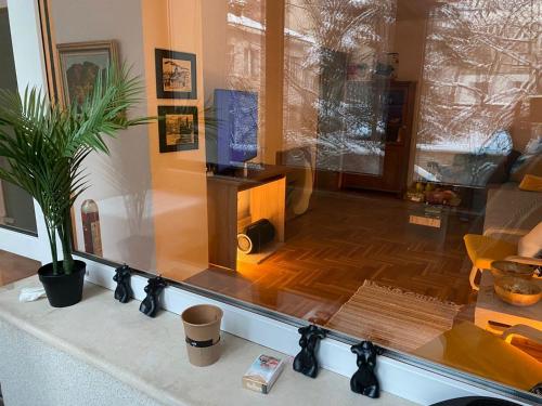 Fotografie z fotogalerie ubytování Rockville House Nomad Apartment v Sofii