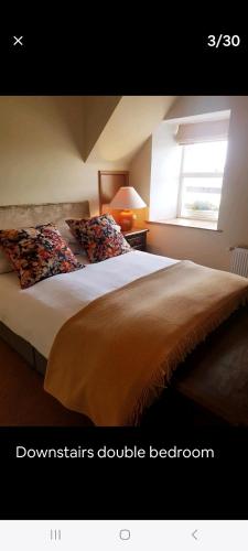 a bedroom with a large bed with a window at Clonard Cottage in Clonard
