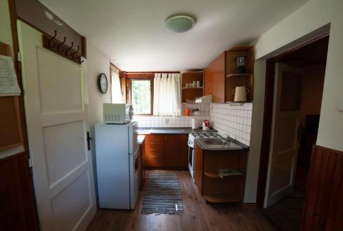 a small kitchen with a refrigerator and a window at Enchanted Forest Chalet in Tatranska Strba