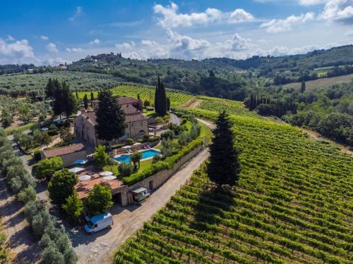 een luchtzicht op een villa in een wijngaard bij Apartment Leonardo by Interhome in Piecorto