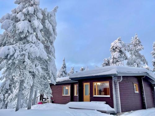 Holiday Home Villa kaisla by Interhome v zimě