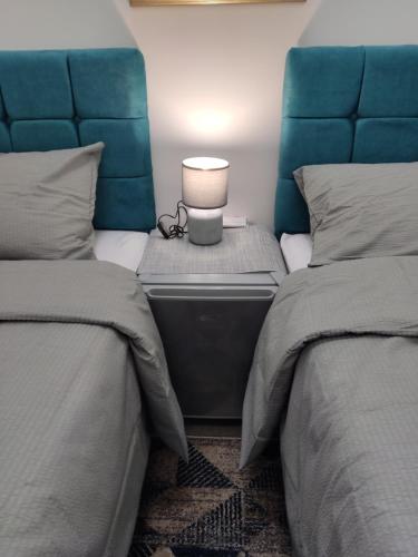 a bedroom with two beds and a lamp on a night stand at Romansa in Dušanovac (historical)