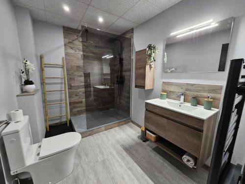 La salle de bains est pourvue de toilettes, d'un lavabo et d'une douche. dans l'établissement Cosy Loft - Calais, à Calais