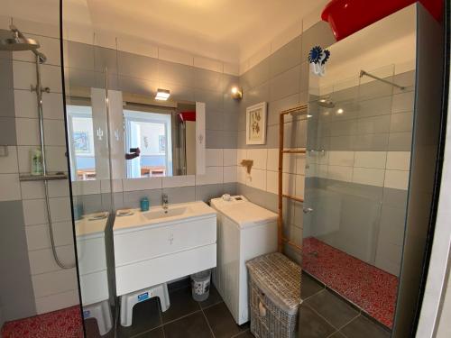 une salle de bain avec une douche, un lavabo et un miroir dans l'établissement Appartement 1 chambre pieds dans l'eau TIUCCIA, à Casaglione