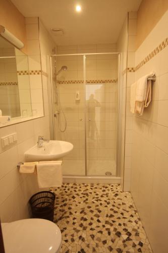 a bathroom with a shower and a toilet and a sink at Weinhaus Burg-Schneider in Reil