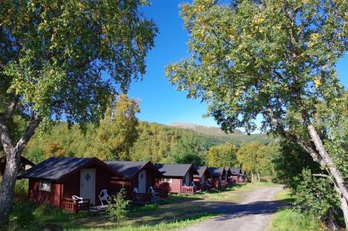 a row of cabins in a forest with a dirt road at Sortland Camping og Motell AS in Sortland