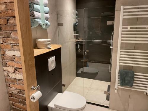 een badkamer met een toilet en een glazen douche bij Landelijk Hijken in Hijken