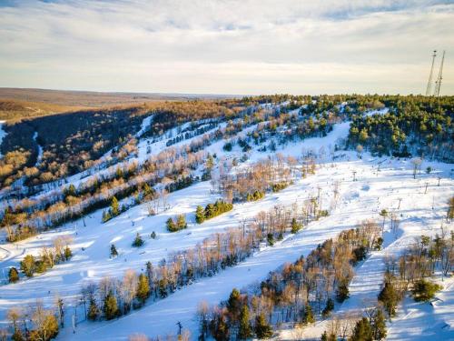 uma vista aérea de um campo coberto de neve com árvores em NEW! Welcome to the White Oak Chalet! Close to Skiing, 5 minute walk to the lake, with Hot Tub, Barrel Sauna, Theater, & Game Room em Albrightsville