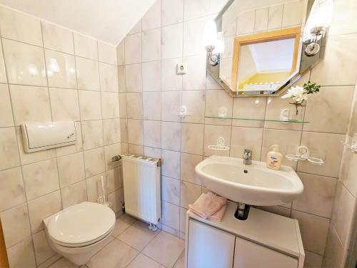 a bathroom with a toilet and a sink at Urlaubsmagie - Ferienwohnung Libelle - direkt am Wanderweg - L5 in Sebnitz