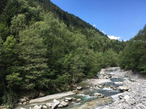 a river with rocks and trees next to a mountain at Wild Valley Forest View 3 in Valle Onsernone in Vergeletto
