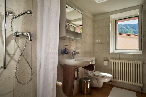 een badkamer met een wastafel, een toilet en een douche bij Wild Valley Forest View 3 in Valle Onsernone in Vergeletto