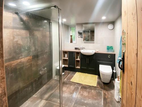 a bathroom with a shower and a sink and a toilet at Swallow Cottage - A Cosy Retreat Near Snowdonia and the Coast in Abergele