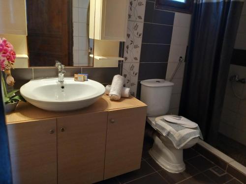 a bathroom with a sink and a toilet at Dali sea view apartments in Zakynthos Town