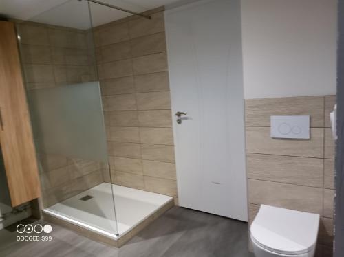 a bathroom with a toilet and a glass door at Aux pieds de la colline de Mousson in Pont-à-Mousson