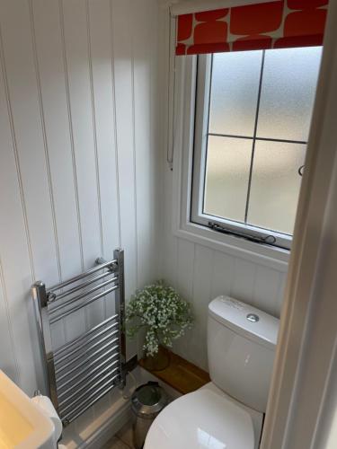 a bathroom with a toilet and a window and a plant at The Shepherd's Hut in Mixbury