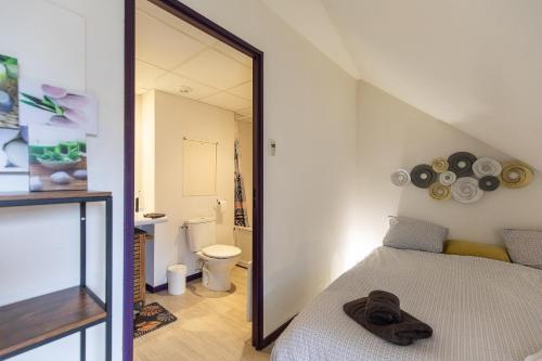 - une chambre avec un miroir, un lit et des toilettes dans l'établissement TITHOME 3 - Grand studio bus gare centre ville sanctuaire, à Lourdes