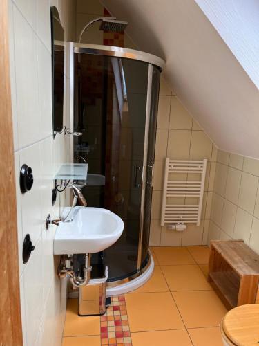 ein Bad mit einer Dusche und einem Waschbecken in der Unterkunft Landdomizil Zeißig in Hoyerswerda