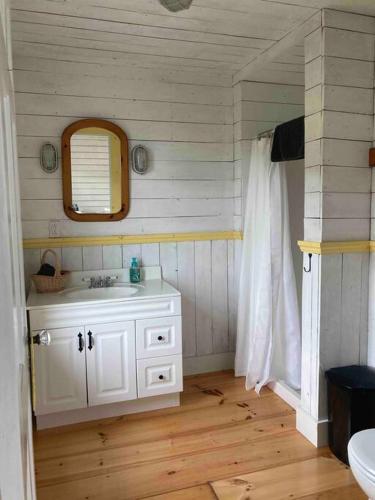 a bathroom with a sink and a mirror at Sea Cliff Cottage in Edwardsville