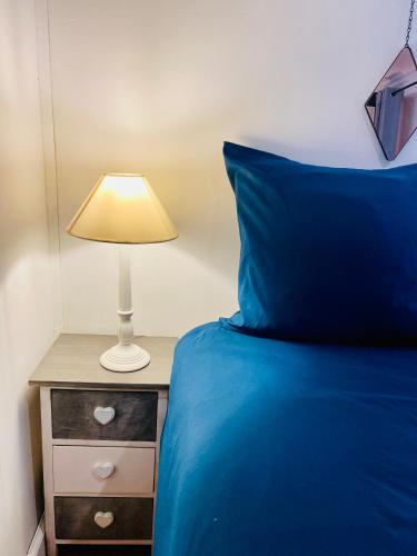 - un lit avec un oreiller bleu et une lampe sur une table de nuit dans l'établissement ''La Marine'' T2 en plein centre, vue sur le canal, à Sète