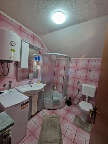 een badkamer met een douche, een wastafel en een toilet bij Stara Ruža in Gračanica