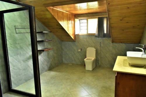a bathroom with a shower and a toilet and a sink at Ezeife Guesthouse in Kampala