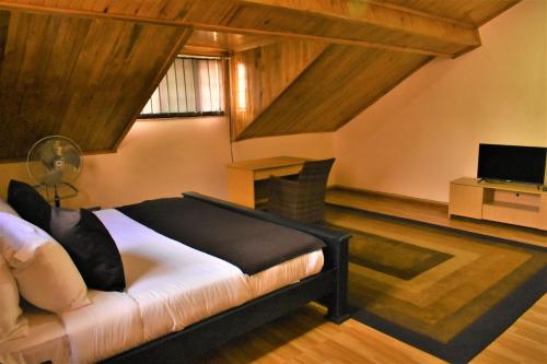 1 dormitorio con 1 cama en blanco y negro y TV en Ezeife Guesthouse, en Kampala