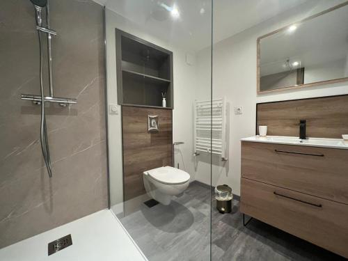 ein Bad mit einem WC und einer Glasdusche in der Unterkunft Les Arches - Superbe appartement en centre-ville in Poitiers