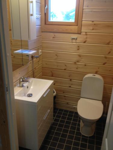 a bathroom with a toilet and a sink at Himos Villi Cottages in Jämsä